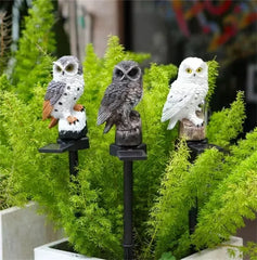 š„Hot Saleš„Waterproof Solar Owl Light ā LED Pathway Light for Lawn, Garden & Outdoor Decor