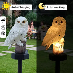 š„Hot Saleš„Waterproof Solar Owl Light ā LED Pathway Light for Lawn, Garden & Outdoor Decor